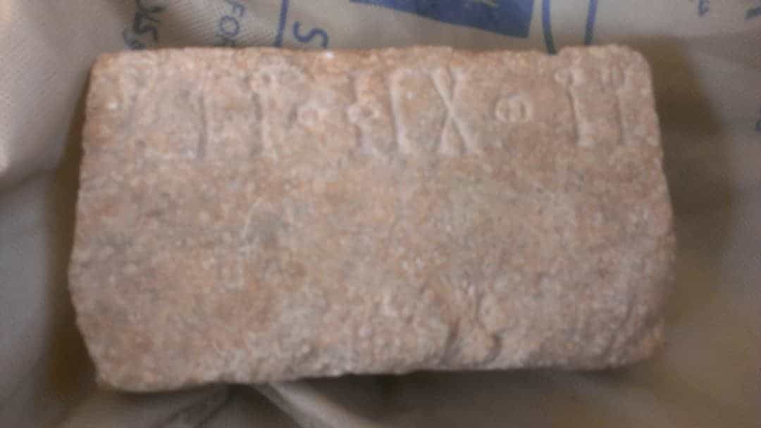 الشرعي الإحساء 8